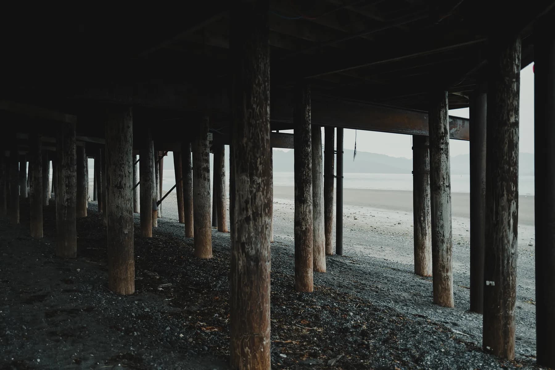 Looking beneath a pier at rows of wooden pilings standing on wet gravel