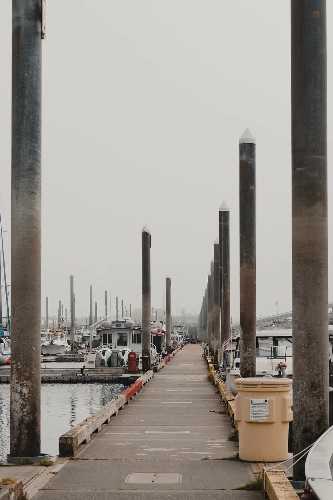 A long harbour dock lined with tall pilings receding into fog