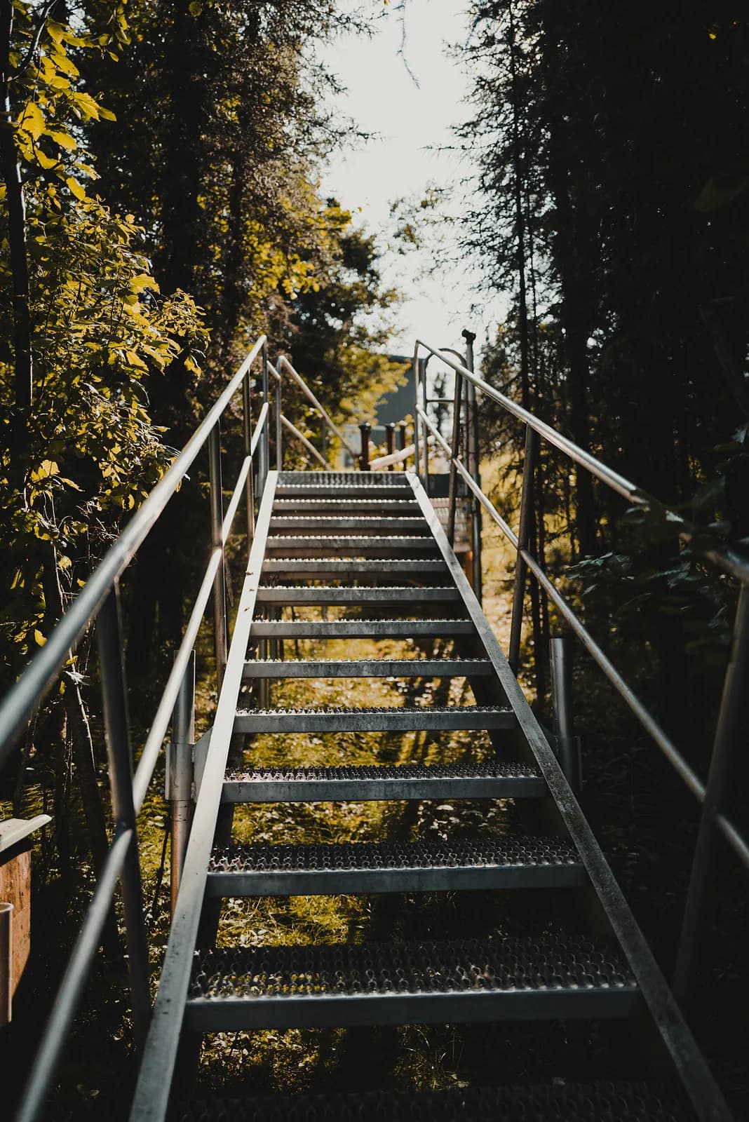A long steel staircase descending through dense green spruce toward a river