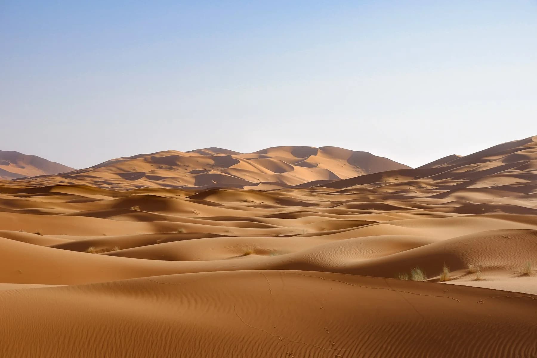 Broad Moroccan desert beneath a pale blue sky