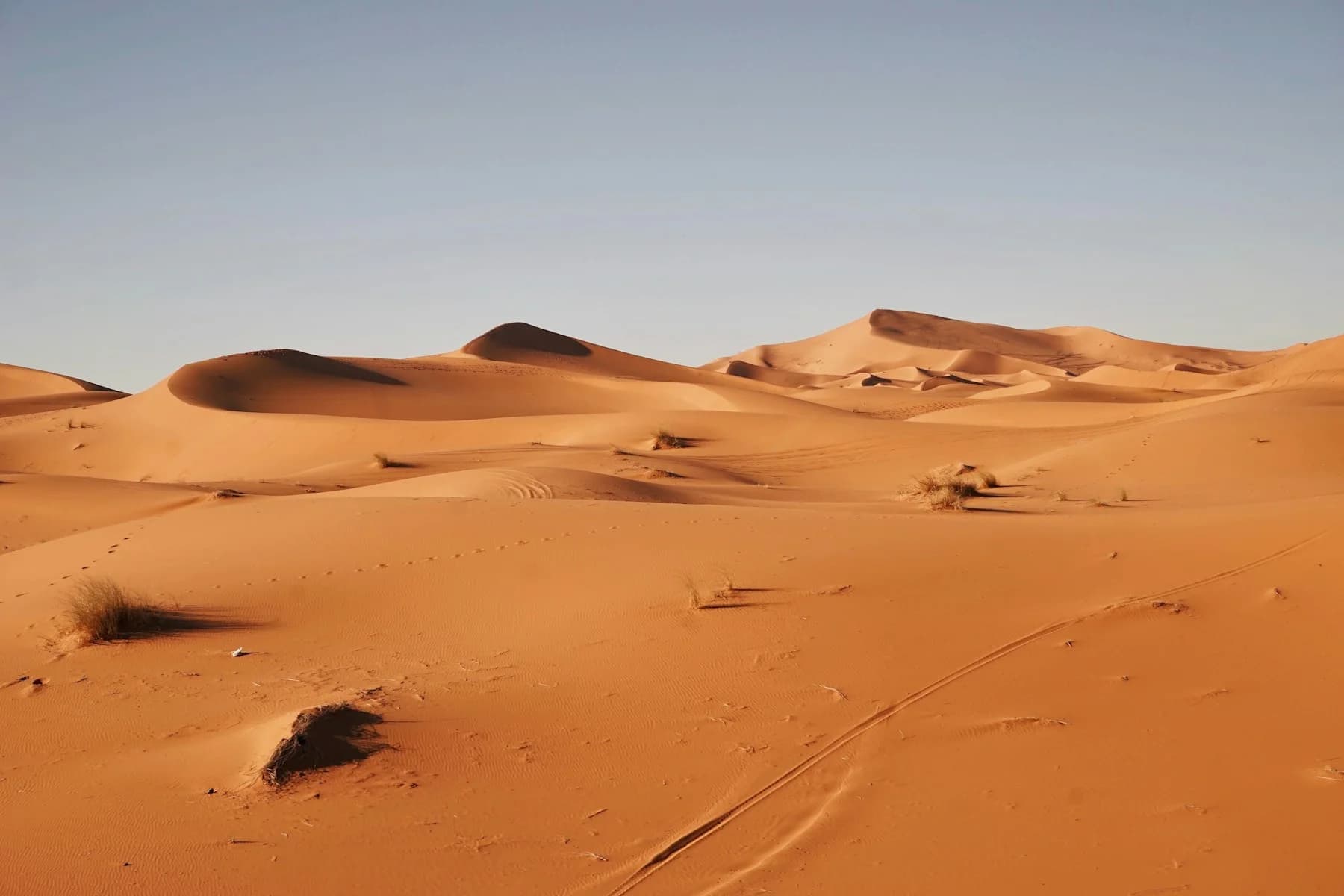 Saharan dunes in warm morning light