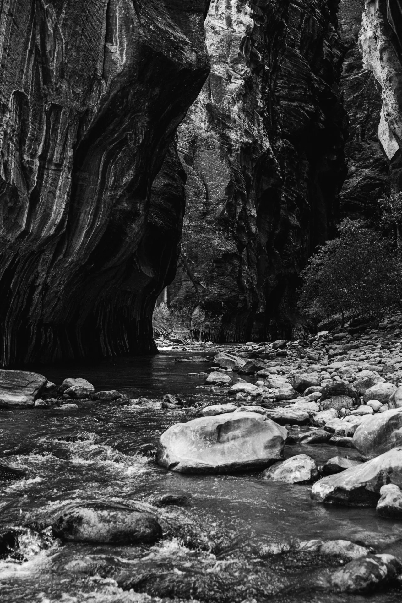 Black-and-white photograph inside the Narrows at Zion National Park
