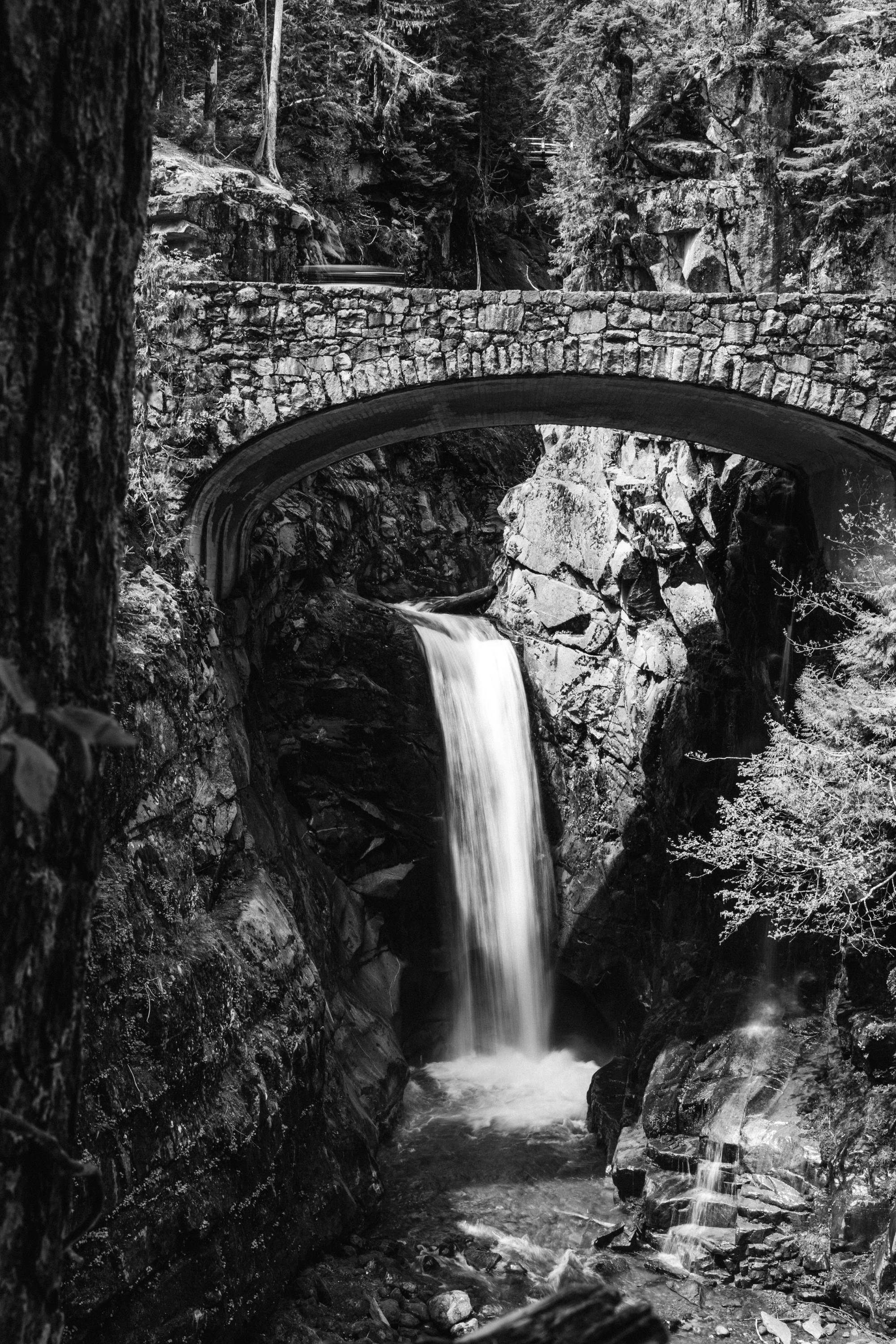 Christine Falls