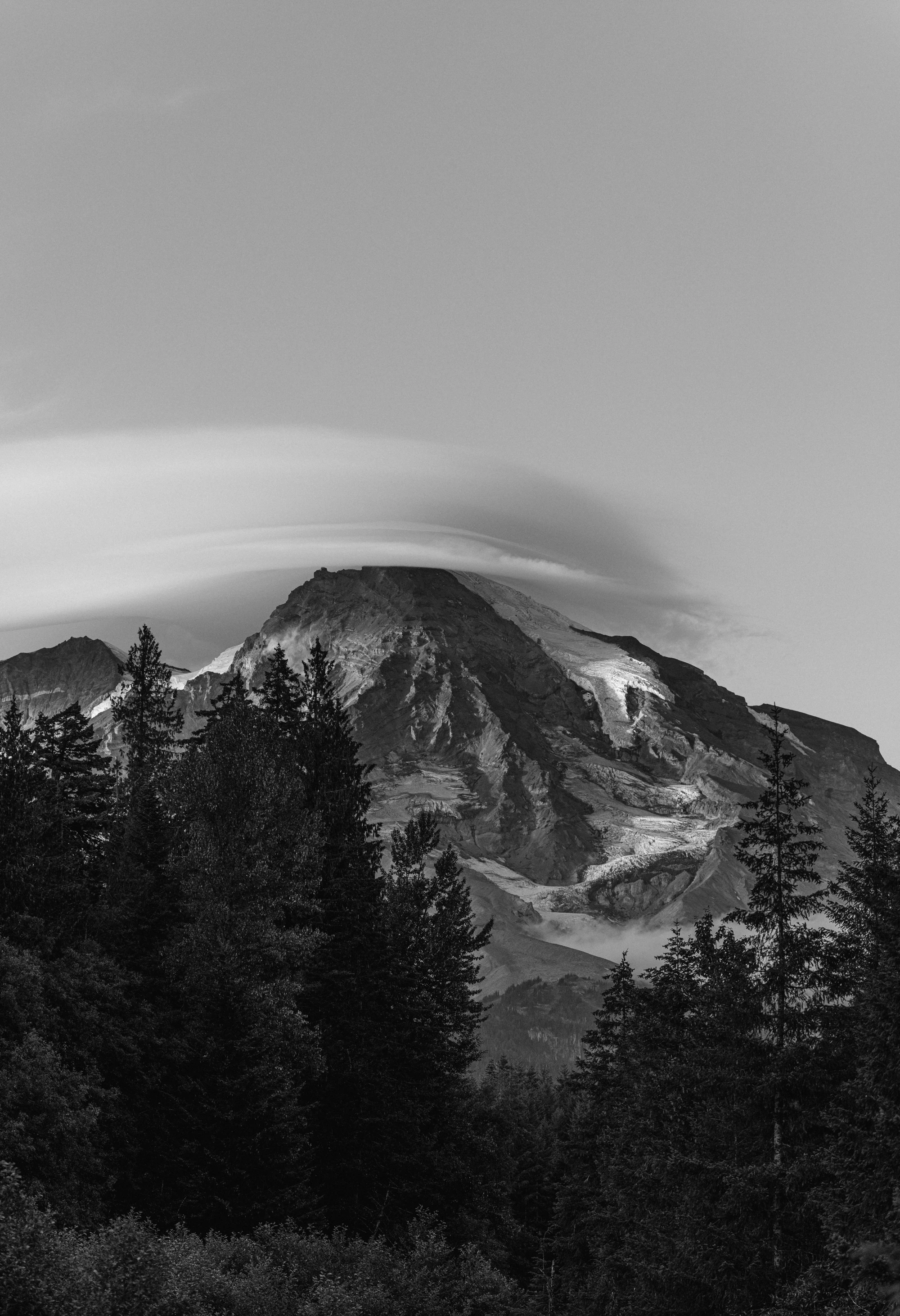 Black-and-white photograph of Mount Rainier rising above forested ridges — the photograph offered as a print